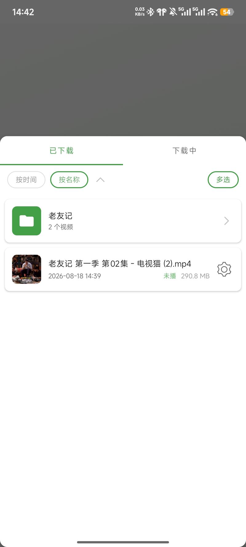 已下载列表